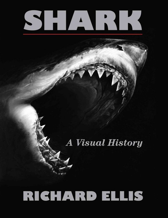 Produktbild: Shark