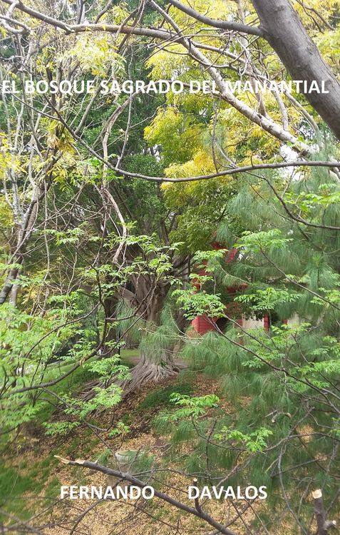 Produktbild: El Bosque Sagrado del Manantial