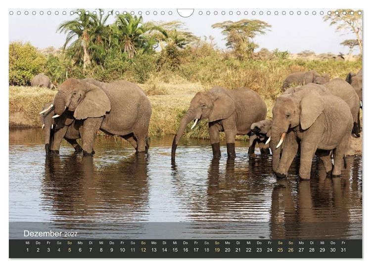 Produktbild: Elefanten (Wandkalender 2027 DIN A3 quer), CALVENDO Monatskalender