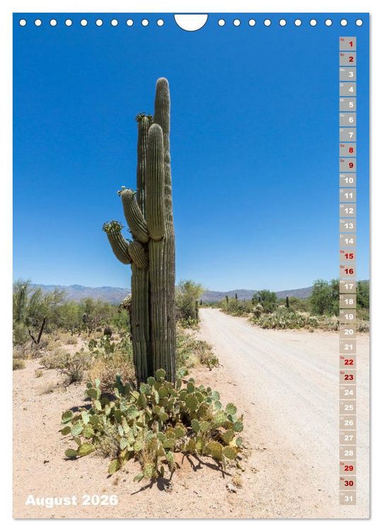 Produktbild: SAGUARO NATIONAL PARK W&uuml;stenimpressionen aus Arizona (Wandkalender 2026 DIN A4 hoch), CALVENDO Monatskalender