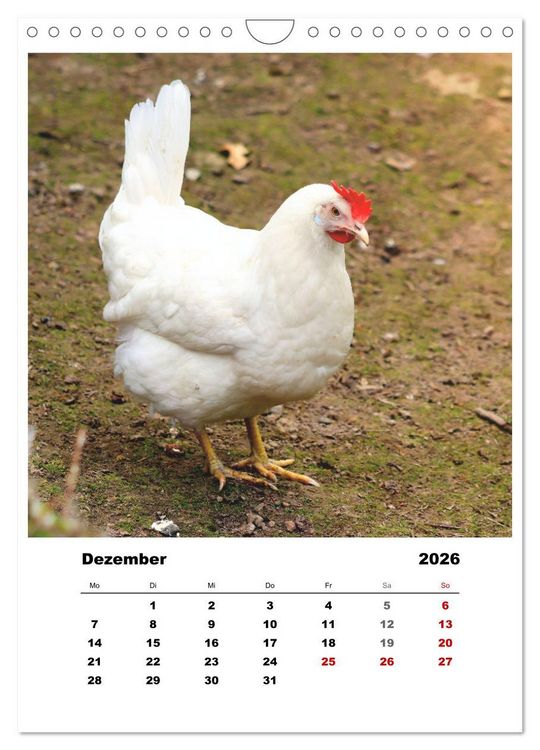 Produktbild: Bauernhoftiere, ganz nah dran (Wandkalender 2026 DIN A4 hoch), CALVENDO Monatskalender