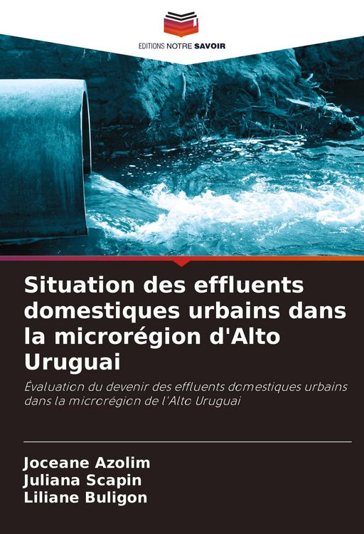 Produktbild: Situation des effluents domestiques urbains dans la micror&eacute;gion d'Alto Uruguai