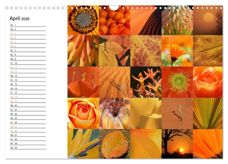 Produktbild: Farbenkaleidoskop (Wandkalender 2026 DIN A3 quer), CALVENDO Monatskalender