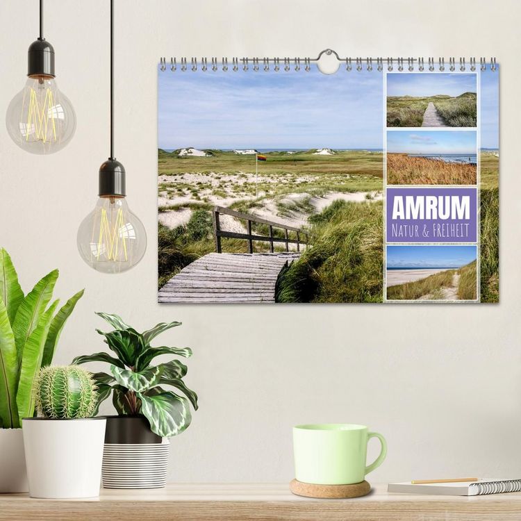 Produktbild: Amrum: Natur und Freiheit (Wandkalender 2027 DIN A4 quer), CALVENDO Monatskalender