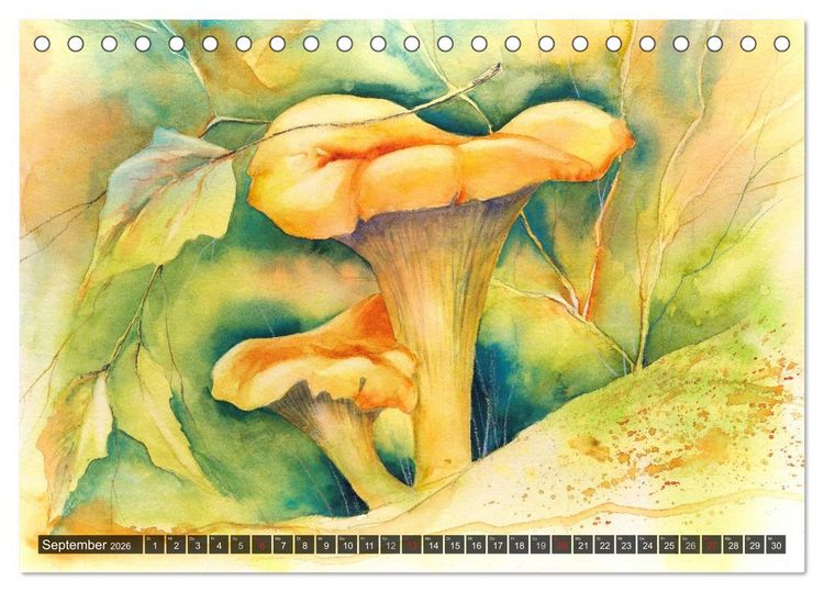 Produktbild: Pilze in Aquarell (Tischkalender 2026 DIN A5 quer), CALVENDO Monatskalender