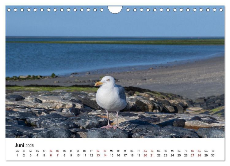 Produktbild: Ostfriesland - Ein Jahr in Bildern (Wandkalender 2026 DIN A4 quer), CALVENDO Monatskalender