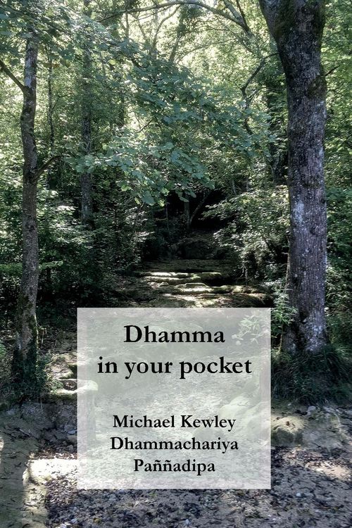 Produktbild: Dhamma in your pocket