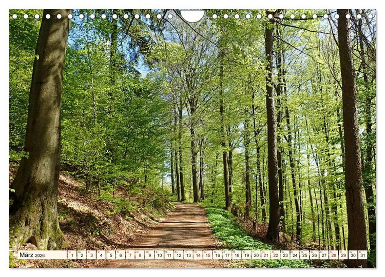 Produktbild: Vom Ried an die Bergstra&szlig;e, durch den Odenwald ins Neckartal (Wandkalender 2026 DIN A4 quer), CALVENDO Monatskalender