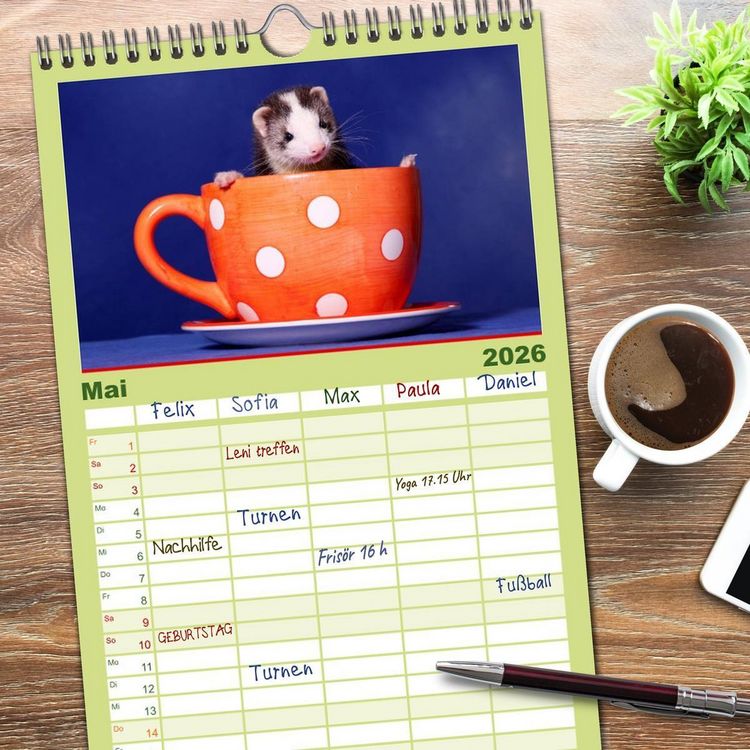 Produktbild: Familienplaner 2026 - Frettchen - Ferrets mit 5 Spalten (Wandkalender, 21 x 45 cm) CALVENDO