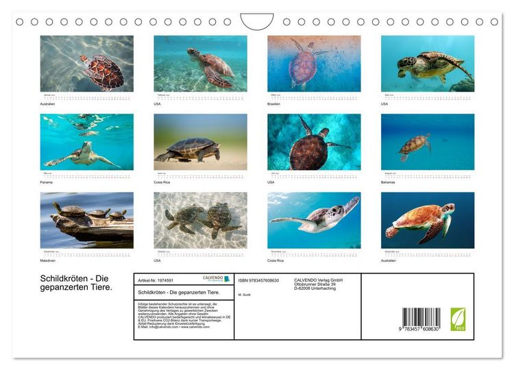 Produktbild: Schildkr&ouml;ten - Die gepanzerten Tiere. (Wandkalender 2026 DIN A4 quer), CALVENDO Monatskalender