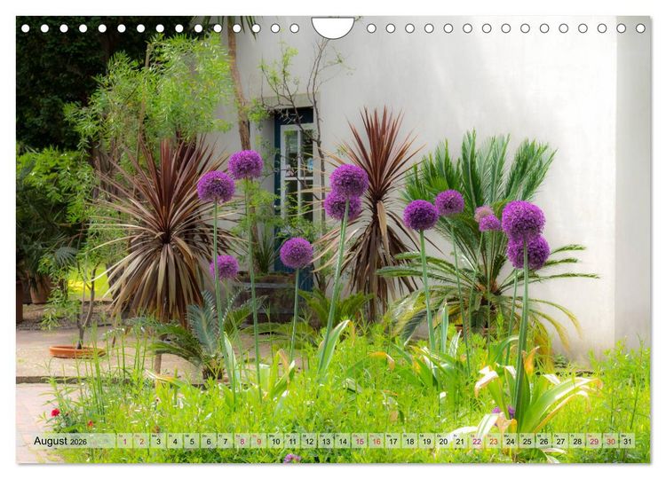 Produktbild: Schlossgarten Oldenburg. Ein Fotospaziergang (Wandkalender 2026 DIN A4 quer), CALVENDO Monatskalender