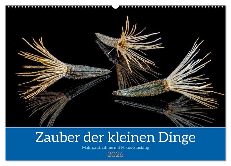 Produktbild: Zauber der kleinen Dinge (Wandkalender 2026 DIN A2 quer), CALVENDO Monatskalender