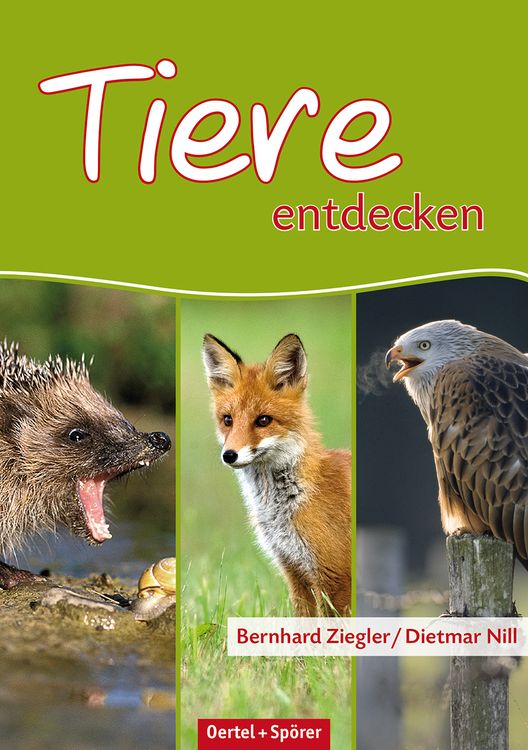 Produktbild: Tiere entdecken