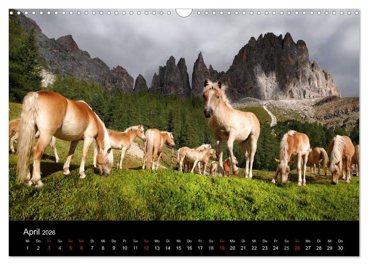 Produktbild: Wundersch&ouml;ne Haflingerwelt (Wandkalender 2026 DIN A3 quer), CALVENDO Monatskalender