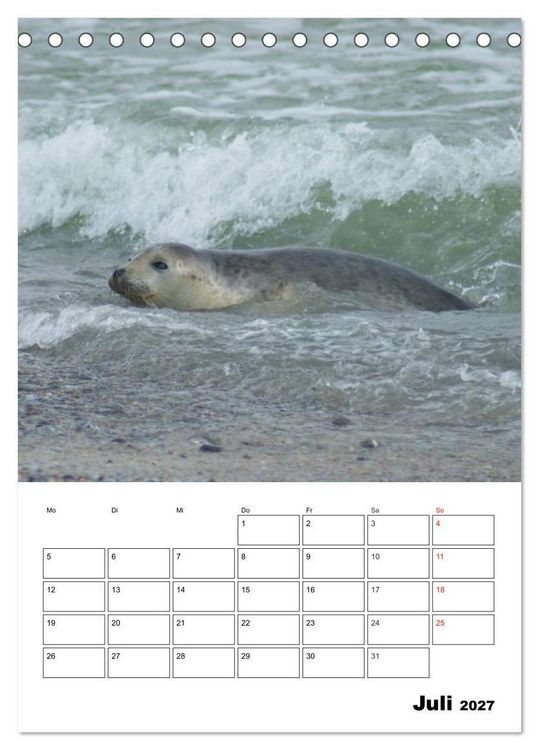 Produktbild: Liebenswerte Robben (Tischkalender 2027 DIN A5 hoch), CALVENDO Monatskalender