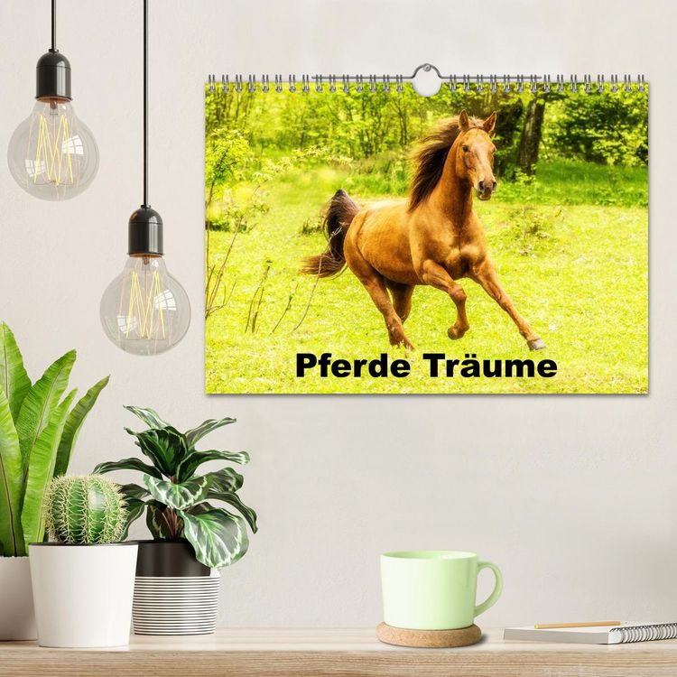 Produktbild: Pferde Tr&auml;ume (Wandkalender 2026 DIN A4 quer), CALVENDO Monatskalender