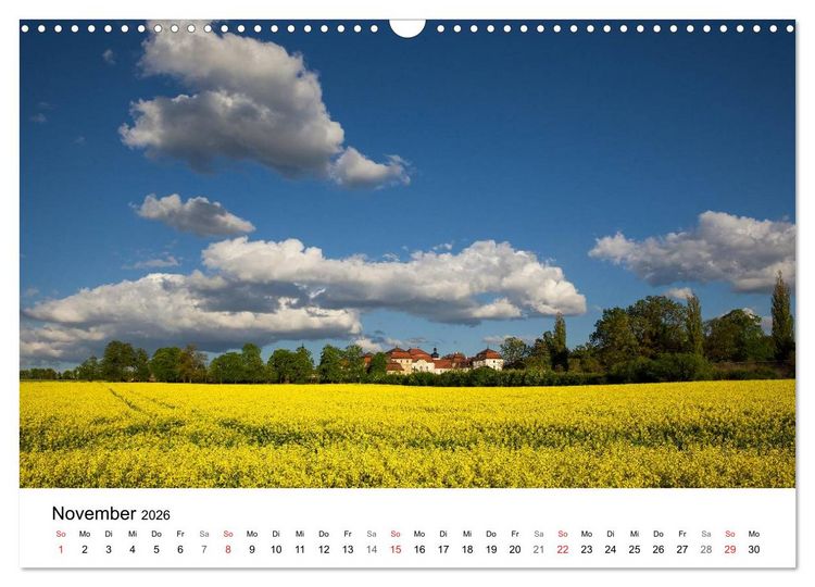 Produktbild: Rapsodie (Wandkalender 2026 DIN A3 quer), CALVENDO Monatskalender