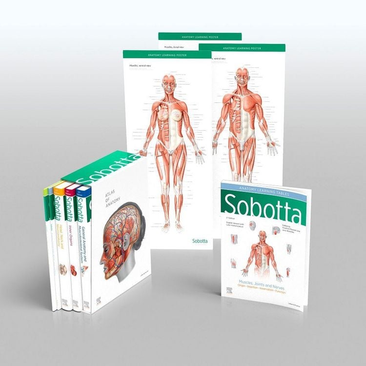 Produktbild: Paulsen, F: Sobotta Atlas of Anatomy, Package, 17th ed., Eng