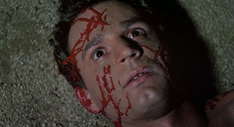Produktbild: PIGS - Uncut Limited Mediabook (in HD neu abgetastet, Blu-ray+DVD+Booklet, limitiert auf 500 St&uuml;ck)