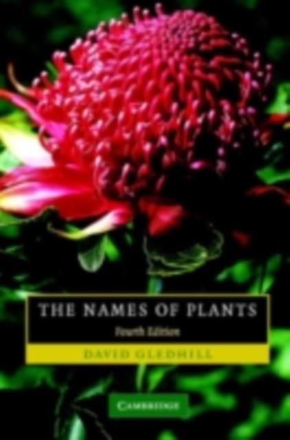 Produktbild: Names of Plants