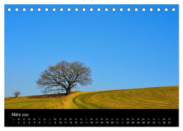Produktbild: B&auml;ume (Tischkalender 2026 DIN A5 quer), CALVENDO Monatskalender