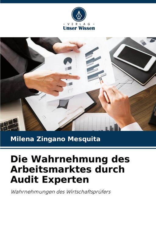 Produktbild: Die Wahrnehmung des Arbeitsmarktes durch Audit Experten