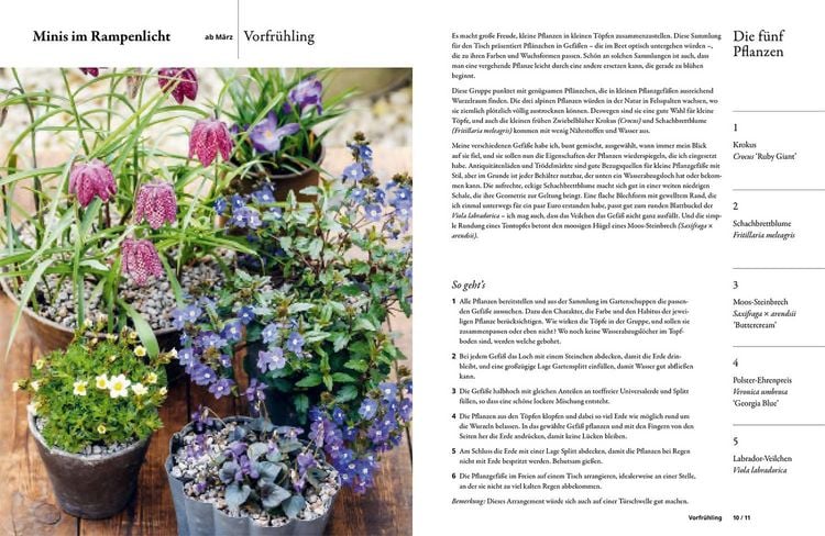 Produktbild: Einfach gestalten mit 5 Pflanzen