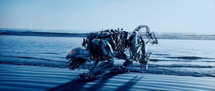 Produktbild: Transformers - Die Rache