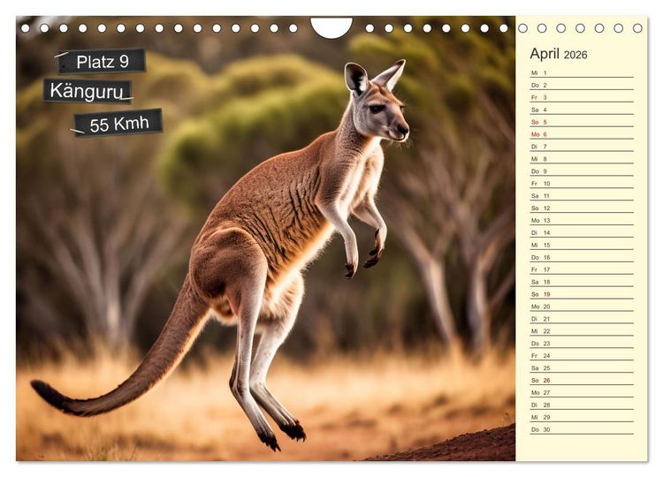 Produktbild: Wer rennt am schnellsten? (Wandkalender 2026 DIN A4 quer), CALVENDO Monatskalender