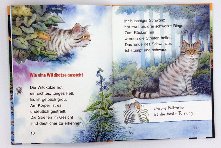 Produktbild: Die Wildkatze