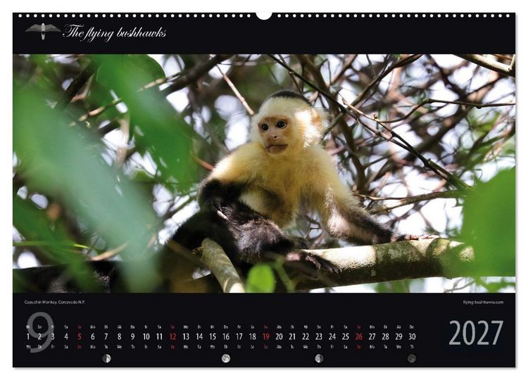 Produktbild: Costa Rica Blickwinkel 2027 (Wandkalender 2027 DIN A2 quer), CALVENDO Monatskalender