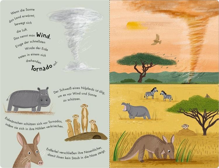 Produktbild: Sonne & Regen - Ein Klipp-Klapp-Buch &uuml;ber die Natur und das Wetter