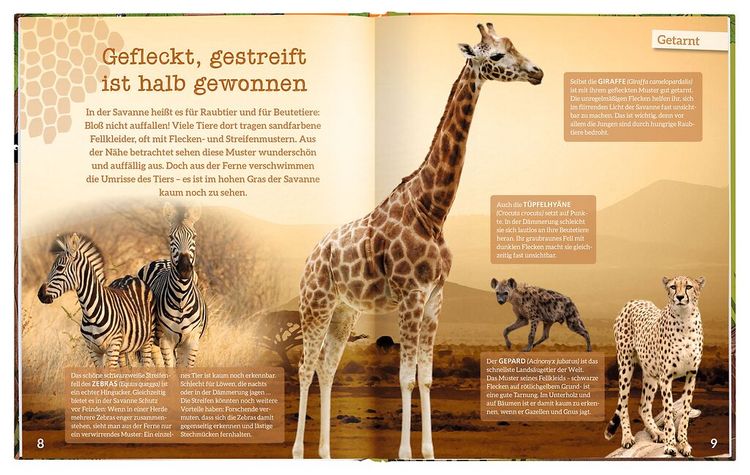 Produktbild: Der gro&szlig;e Outfit-Check der Tiere