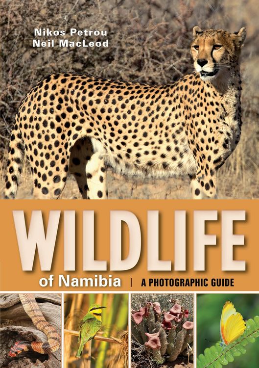 Produktbild: Wildlife of Namibia