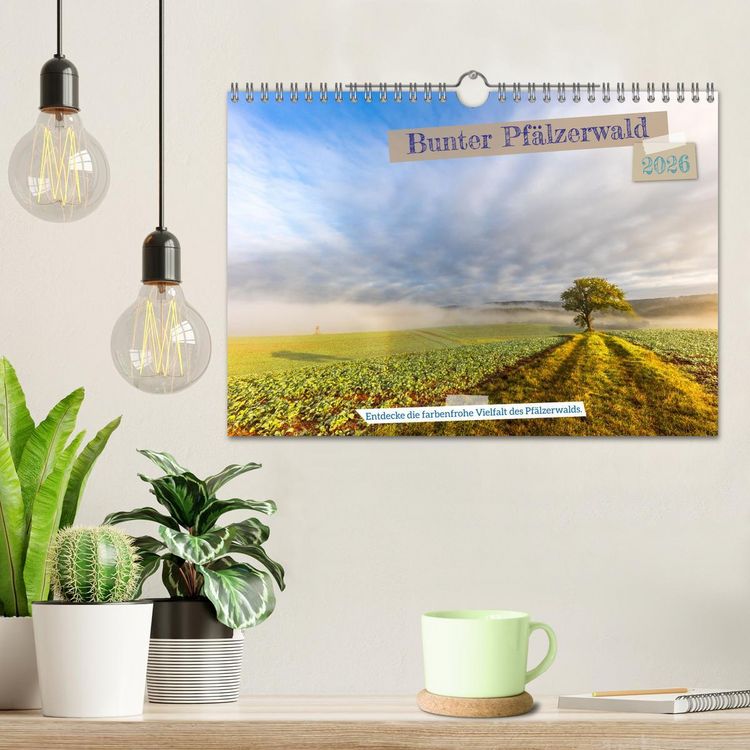 Produktbild: Bunter Pf&auml;lzerwald (Wandkalender 2026 DIN A4 quer), CALVENDO Monatskalender