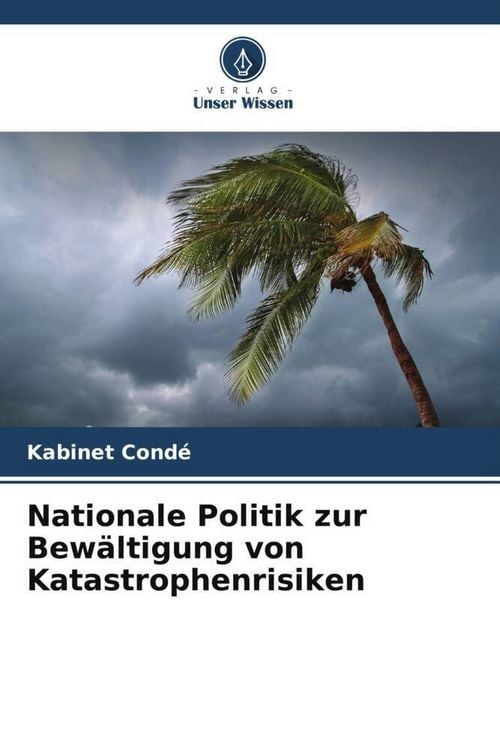 Produktbild: Nationale Politik zur Bew&auml;ltigung von Katastrophenrisiken