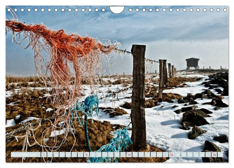 Produktbild: Die Hallig Langene&szlig; (Wandkalender 2026 DIN A4 quer), CALVENDO Monatskalender