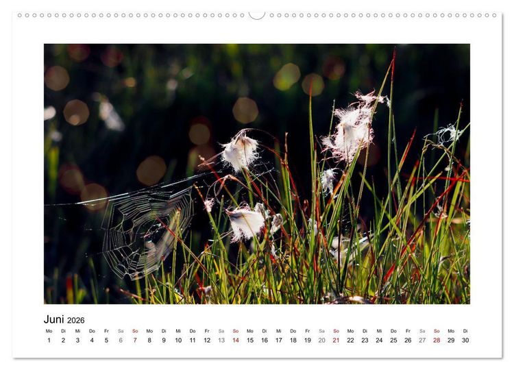 Produktbild: Rotes und Schwarzes Moor (hochwertiger Premium Wandkalender 2026 DIN A2 quer), Kunstdruck in Hochglanz