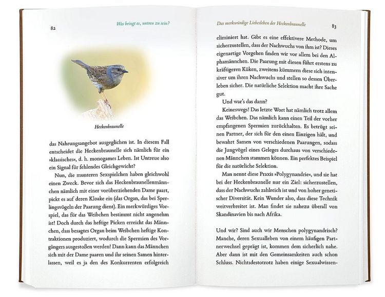 Produktbild: Kleine Philosophie der V&ouml;gel