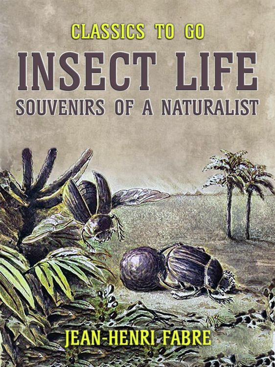 Produktbild: Insect Life Souvenirs of a Naturalist
