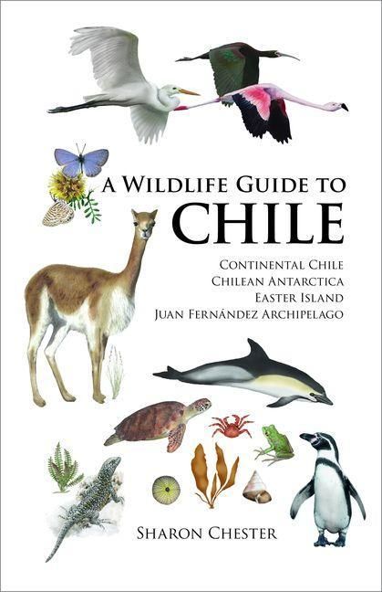 Produktbild: Wildlife Guide to Chile