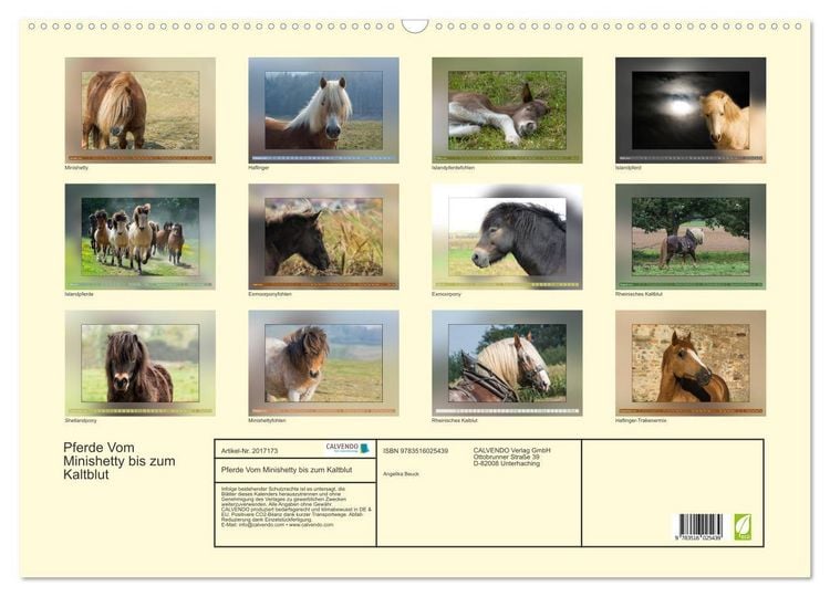 Produktbild: Pferde Vom Minishetty bis zum Kaltblut (Wandkalender 2026 DIN A2 quer), CALVENDO Monatskalender
