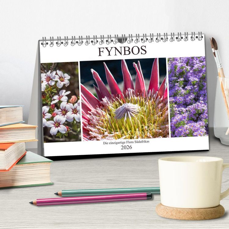 Produktbild: Fynbos - Die einzigartige Flora S&uuml;dafrikas (Tischkalender 2026 DIN A5 quer), CALVENDO Monatskalender