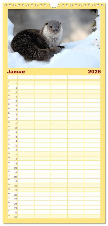 Produktbild: Familienplaner 2026 - Fischotter, flinke J&auml;ger mit 5 Spalten (Wandkalender, 21 x 45 cm) CALVENDO