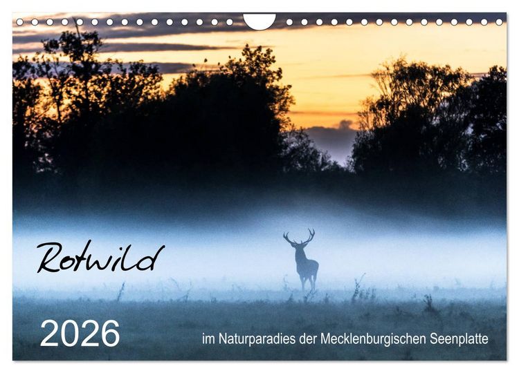 Produktbild: Rotwild - im Naturparadies der Mecklenburgischen Seenplatte (Wandkalender 2026 DIN A4 quer), CALVENDO Monatskalender