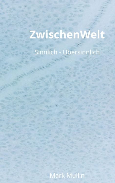 Produktbild: ZwischenWelt
