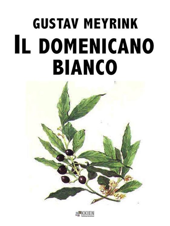 Produktbild: Il domenicano bianco