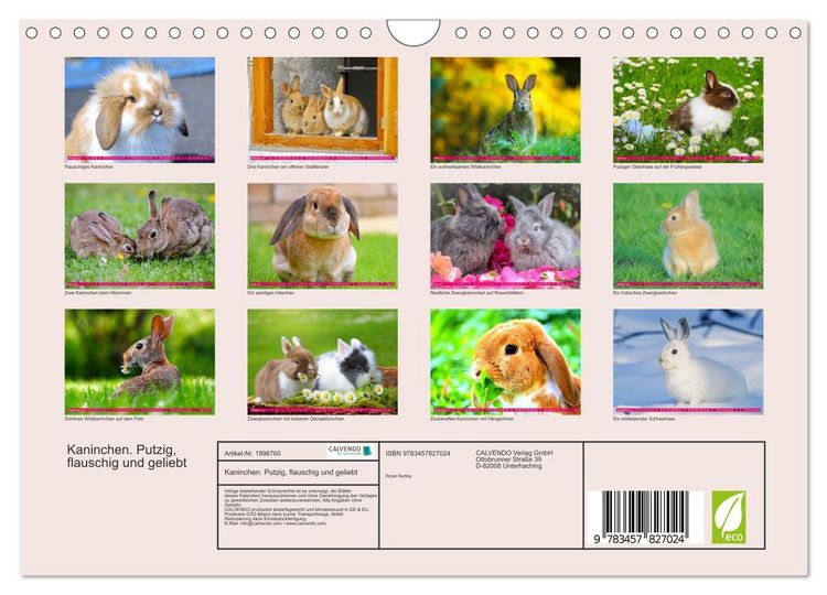 Produktbild: Kaninchen. Putzig, flauschig und geliebt (Wandkalender 2026 DIN A4 quer), CALVENDO Monatskalender