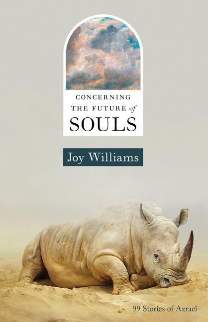 Produktbild: Concerning the Future of Souls