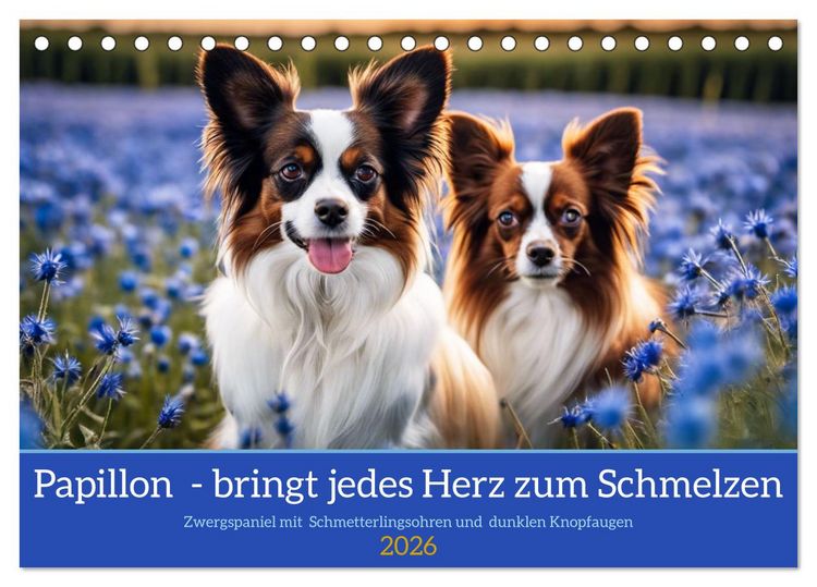 Produktbild: Papillon - bringt jedes Herz zum Schmelzen (Tischkalender 2026 DIN A5 quer), CALVENDO Monatskalender
